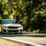 Pedalbooster x seletron (3)